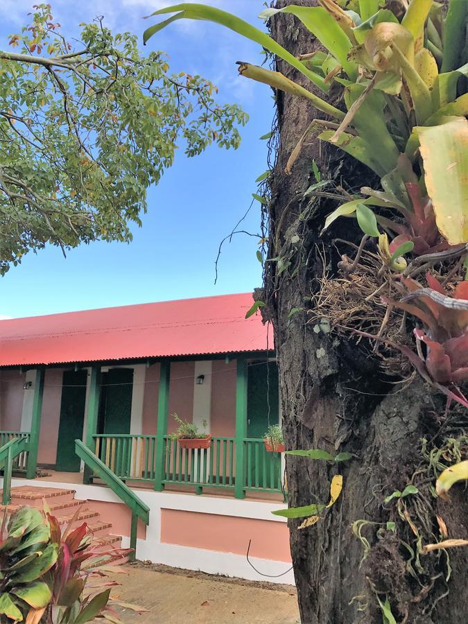 Hacienda Juanita Hotel Maricao ภายนอก รูปภาพ